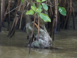 QueenVictoria2015-036